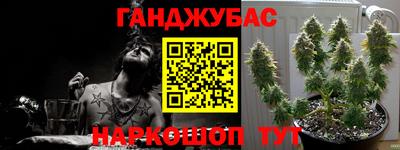 сатива Ставрополь