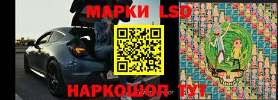 сатива Ставрополь