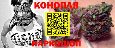 сатива Ставрополь