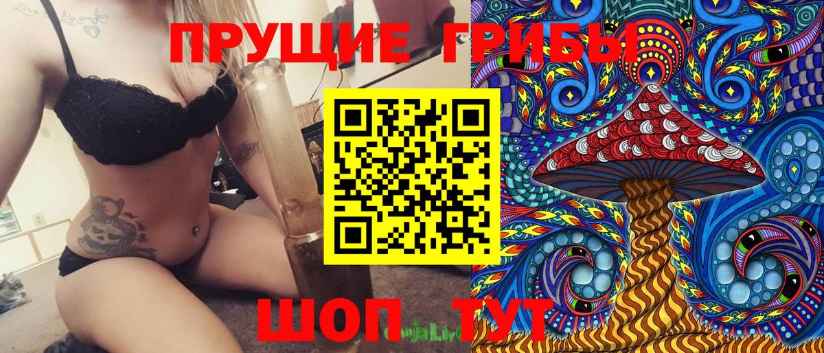 Галлюциногенные грибы Cubensis  Псилоцибиновые грибы Cubensis  Мурманск  Вход с VPN 